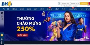Giới thiệu thương hiệu cá cược online hàng đầu châu Á